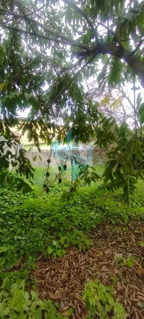 Foto 3 de Terreno / Lote à venda, 400m2 em Vila Ré, São Paulo - SP