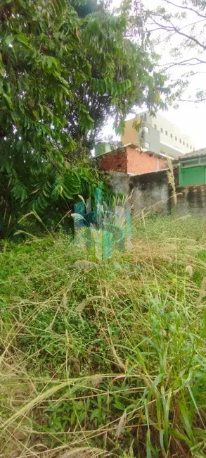 Foto 2 de Terreno / Lote à venda, 400m2 em Vila Ré, São Paulo - SP