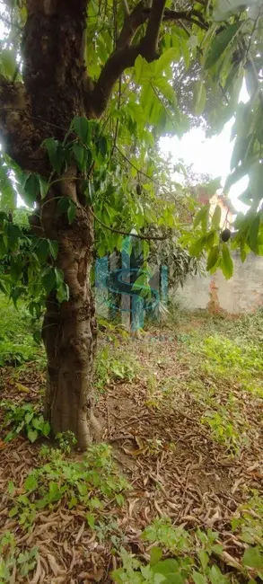 Foto 4 de Terreno / Lote à venda, 400m2 em Vila Ré, São Paulo - SP