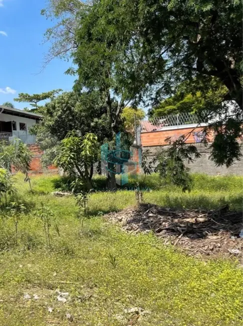 Foto 7 de Terreno / Lote à venda, 614m2 em Vila Hamburguesa, São Paulo - SP