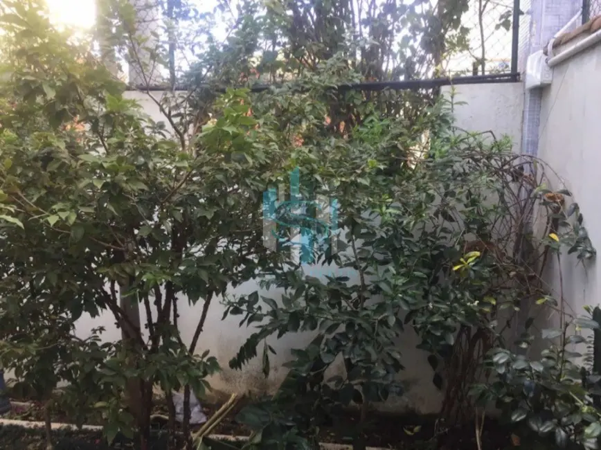 Casa de Condomínio com 5 quartos à venda, 260m2 em Aclimação, São Paulo - SP - imagem 4 Foto 4 de Casa de Condomínio com 5 quartos à venda, 260m2 em Aclimação, São Paulo - SP