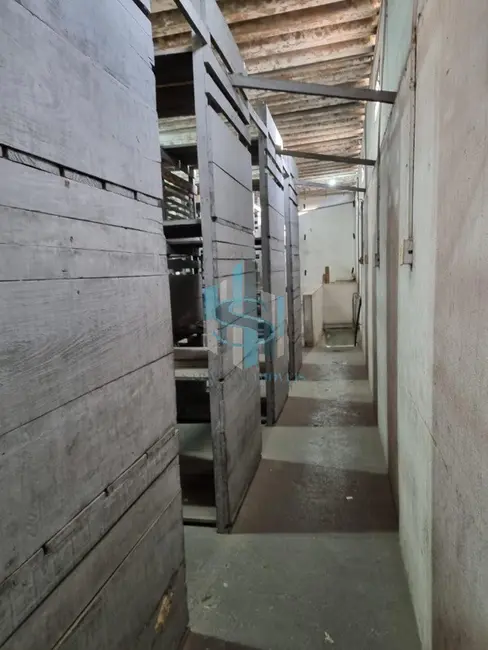 Foto 9 de Prédio Inteiro à venda, 1000m2 em Jardim Santa Terezinha (Zona Leste), São Paulo - SP