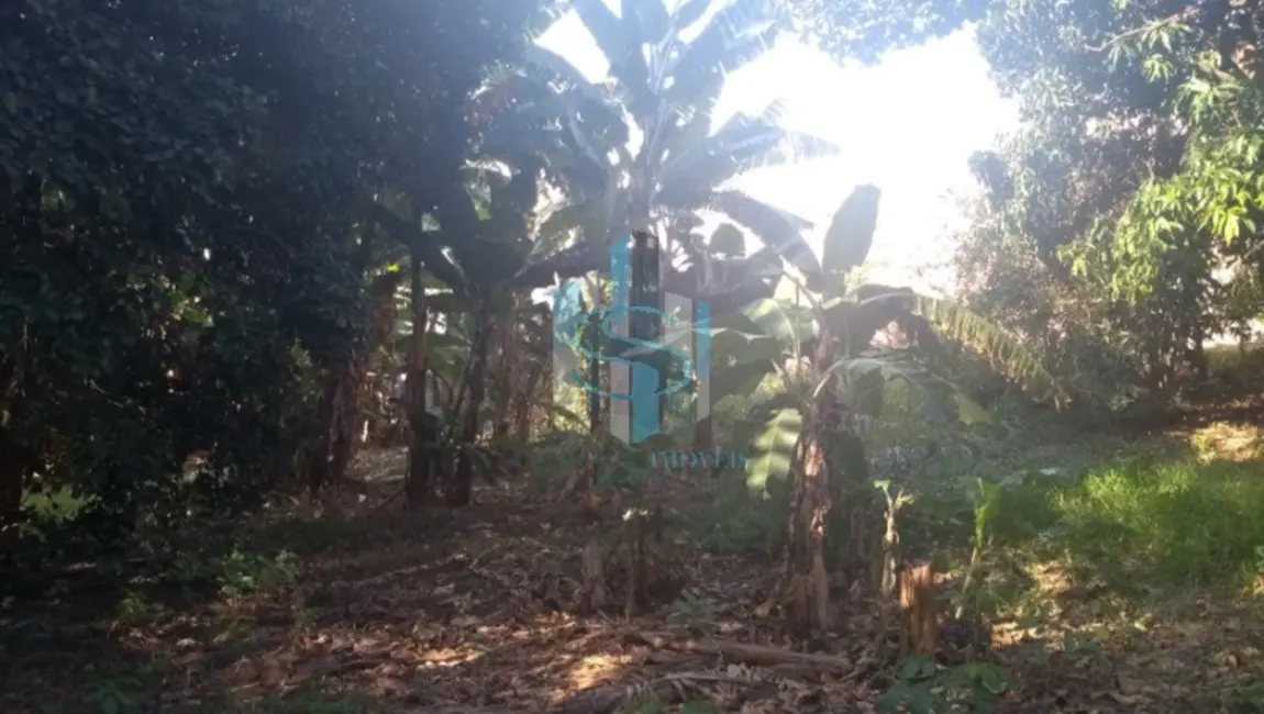 Foto 2 de Terreno / Lote à venda, 1630m2 em Jardim Mariliza, São Paulo - SP