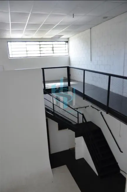 Prédio Inteiro à venda e para alugar, 285m2 em Jardim Petrópolis, São Paulo - SP - imagem 8 Foto 8 de Prédio Inteiro à venda e para alugar, 285m2 em Jardim Petrópolis, São Paulo - SP