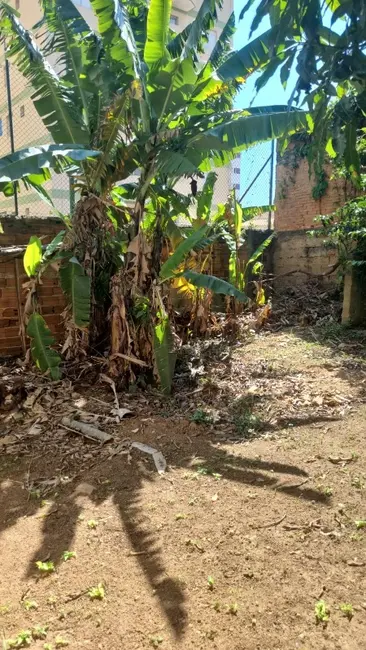 Foto 7 de Terreno / Lote à venda, 450m2 em Vila Mazzei, São Paulo - SP