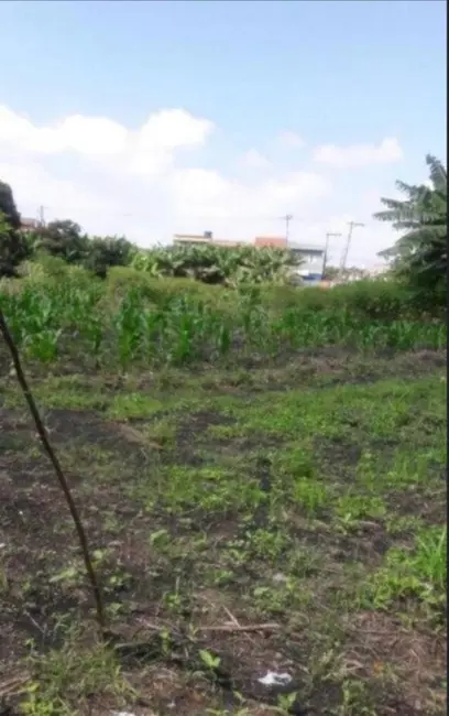 Foto 3 de Terreno / Lote à venda, 6000m2 em Jardim Presidente Dutra, Guarulhos - SP