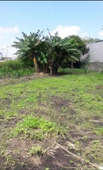 Foto 6 de Terreno / Lote à venda, 6000m2 em Jardim Presidente Dutra, Guarulhos - SP