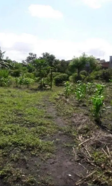 Foto 2 de Terreno / Lote à venda, 6000m2 em Jardim Presidente Dutra, Guarulhos - SP