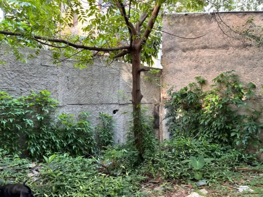 Foto 6 de Terreno / Lote à venda, 500m2 em Casa Verde, São Paulo - SP