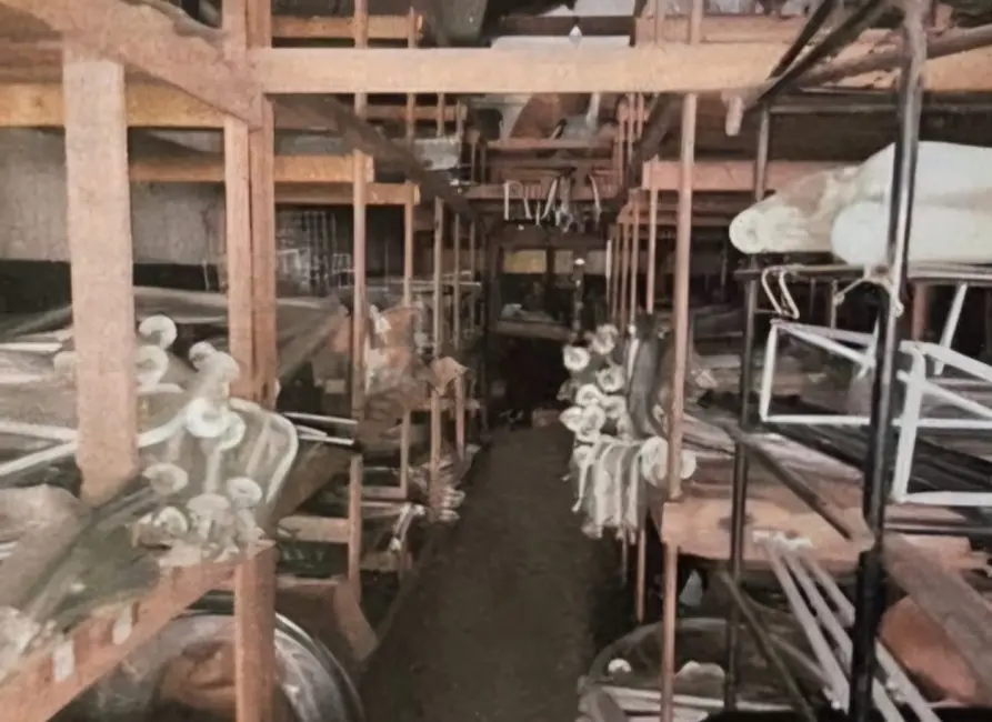 Foto 7 de Armazém / Galpão à venda, 300m2 em Vila Nova Savoia, São Paulo - SP