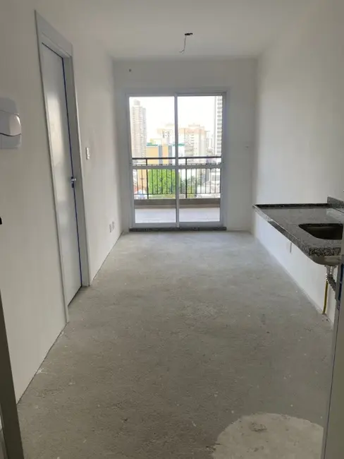 Foto 9 de Apartamento com 1 quarto à venda, 35m2 em Belenzinho, São Paulo - SP