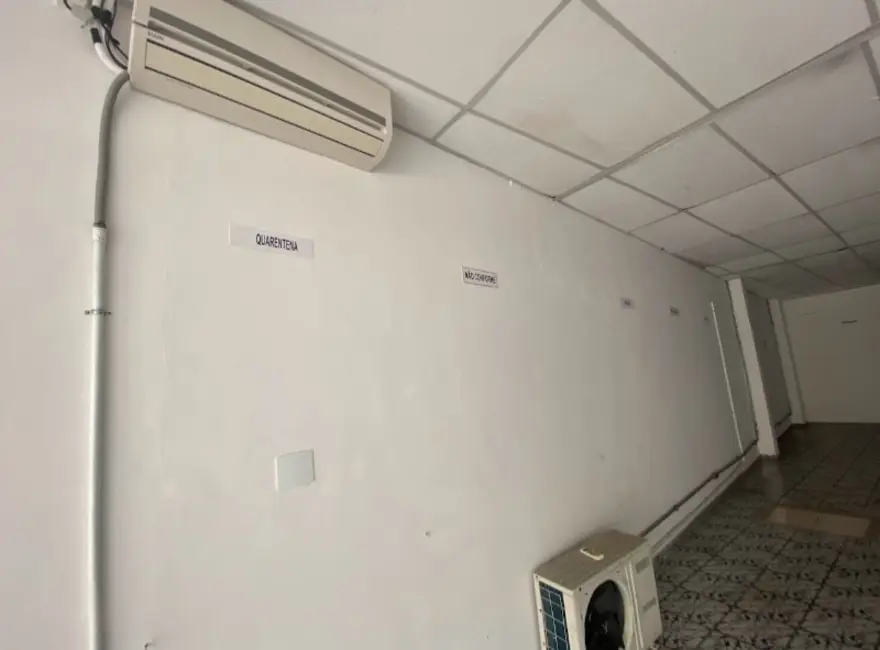 Armazém / Galpão para alugar, 300m2 em Aclimação, São Paulo - SP - imagem 5 Foto 5 de Armazém / Galpão para alugar, 300m2 em Aclimação, São Paulo - SP