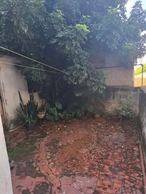 Foto 1 de Terreno / Lote à venda, 140m2 em Tucuruvi, São Paulo - SP