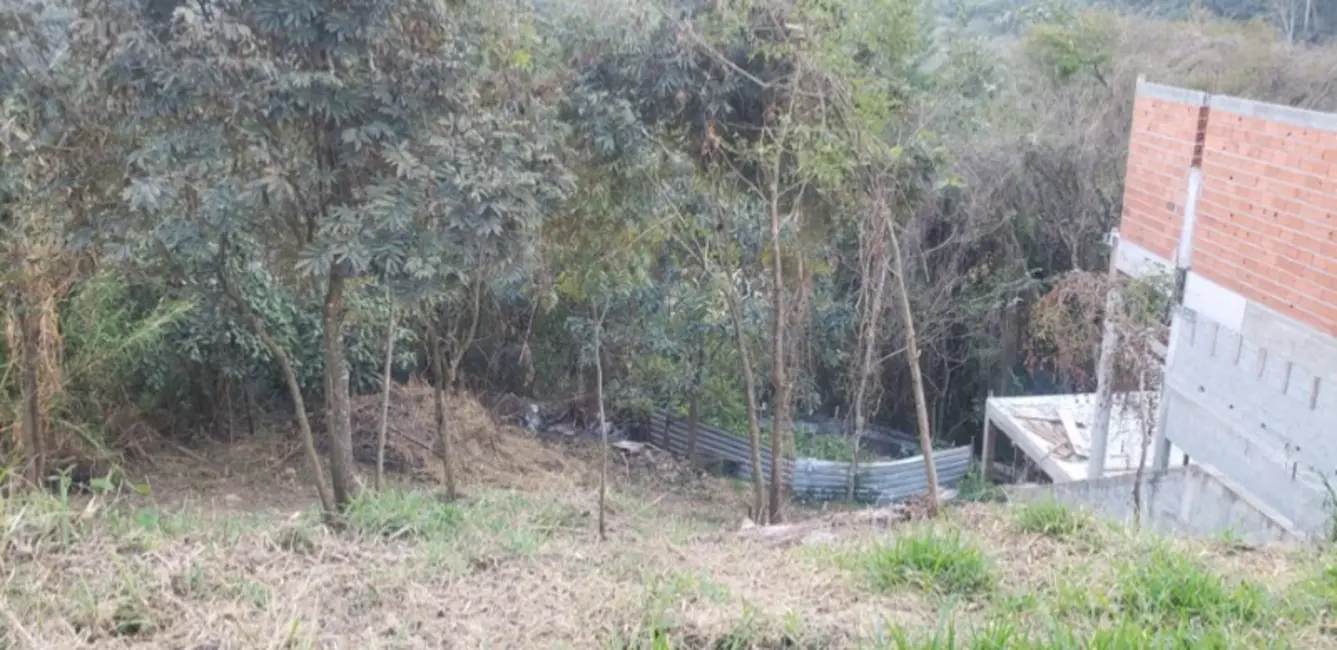 Foto 2 de Terreno / Lote à venda, 387m2 em Jardim Peri, São Paulo - SP