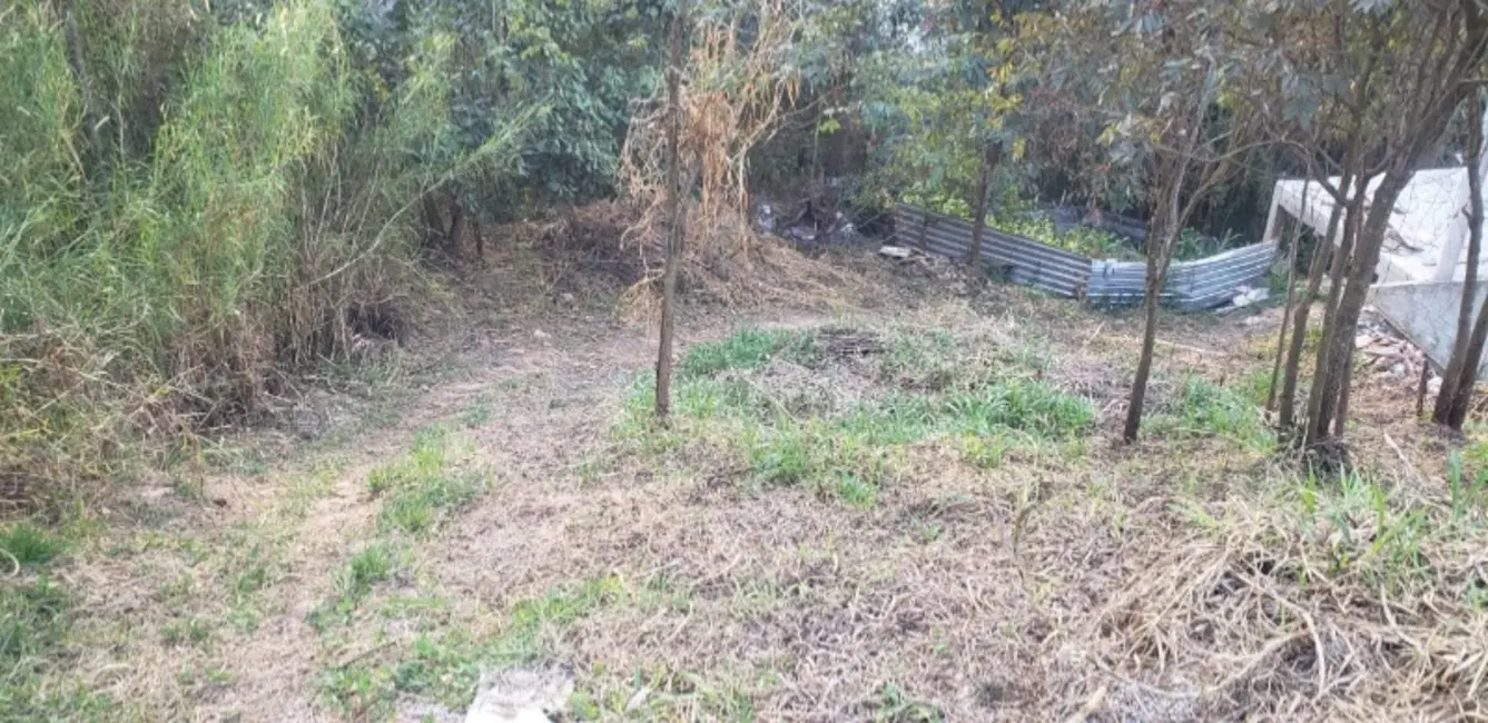 Foto 3 de Terreno / Lote à venda, 387m2 em Jardim Peri, São Paulo - SP