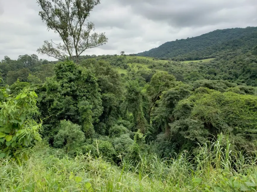 Foto 8 de Terreno / Lote à venda, 387m2 em Jardim Peri, São Paulo - SP