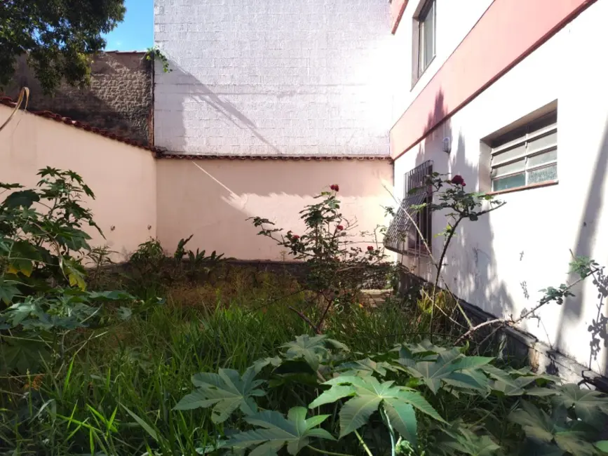 Foto 8 de Casa com 3 quartos à venda, 225m2 em Jardim São Paulo(Zona Norte), São Paulo - SP