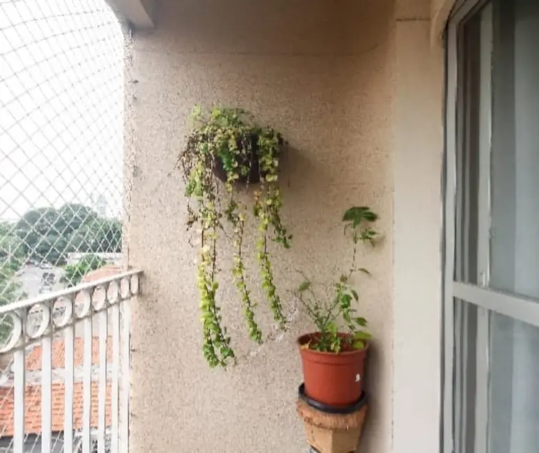 Apartamento com 3 quartos à venda, 74m2 em Tatuapé, São Paulo - SP - imagem 9 Foto 9 de Apartamento com 3 quartos à venda, 74m2 em Tatuapé, São Paulo - SP