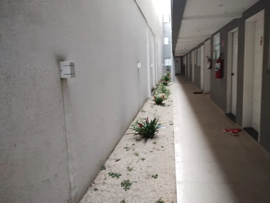 Apartamento com 2 quartos para alugar, 40m2 em Cidade Patriarca, São Paulo - SP - imagem 3 Foto 3 de Apartamento com 2 quartos para alugar, 40m2 em Cidade Patriarca, São Paulo - SP