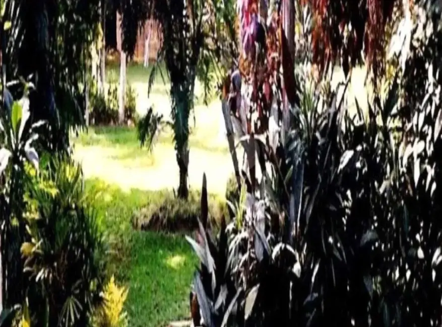 Foto 4 de Terreno / Lote à venda, 10000m2 em Balneário São Francisco, São Paulo - SP