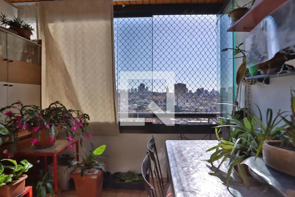 Foto 6 de Apartamento com 3 quartos à venda, 87m2 em Jardim Anália Franco, São Paulo - SP