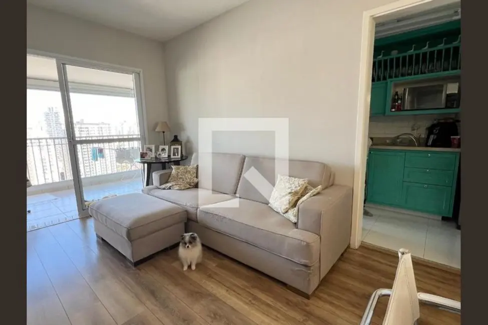 Apartamento com 3 quartos à venda, 96m2 em Jardim Anália Franco, São Paulo - SP - imagem 6 Foto 6 de Apartamento com 3 quartos à venda, 96m2 em Jardim Anália Franco, São Paulo - SP