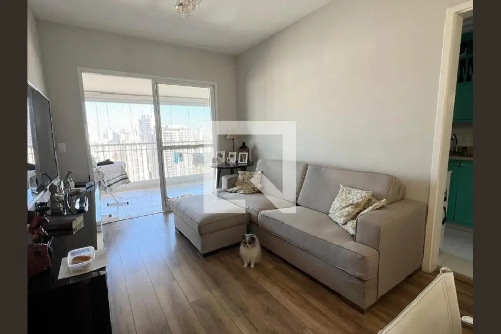 Apartamento com 3 quartos à venda, 96m2 em Jardim Anália Franco, São Paulo - SP - imagem 7 Foto 7 de Apartamento com 3 quartos à venda, 96m2 em Jardim Anália Franco, São Paulo - SP