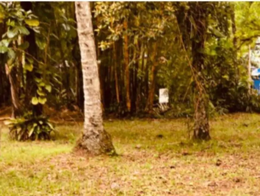 Terreno / Lote à venda, 1000m2 em Ubatuba - SP - imagem 3 Foto 3 de Terreno / Lote à venda, 1000m2 em Ubatuba - SP