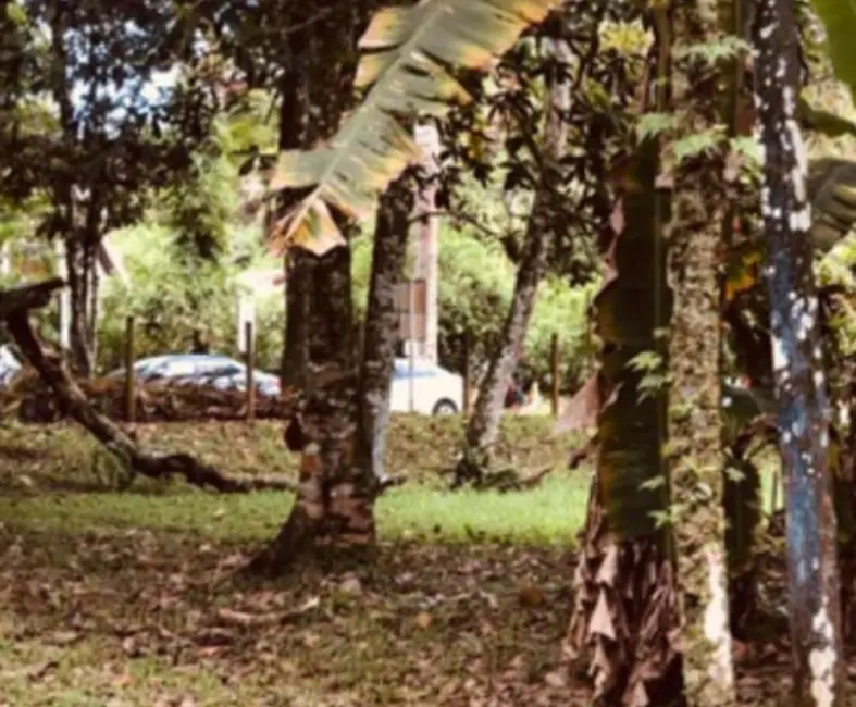 Terreno / Lote à venda, 1000m2 em Ubatuba - SP - imagem 2 Foto 2 de Terreno / Lote à venda, 1000m2 em Ubatuba - SP