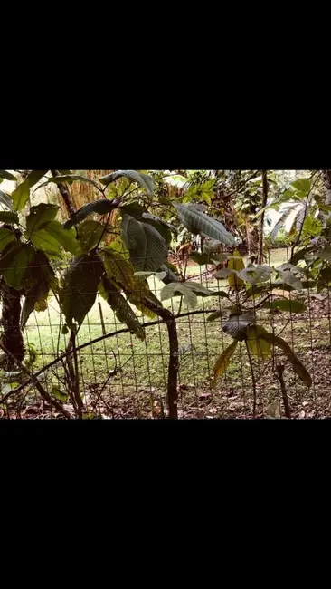 Foto 1 de Terreno / Lote à venda, 720m2 em Ubatuba - SP