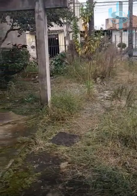 Terreno / Lote à venda, 245m2 em Jardim Maringá, São Paulo - SP - imagem 4 Foto 4 de Terreno / Lote à venda, 245m2 em Jardim Maringá, São Paulo - SP