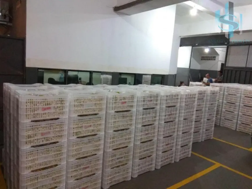 Foto 7 de Armazém / Galpão à venda, 2400m2 em Mooca, São Paulo - SP