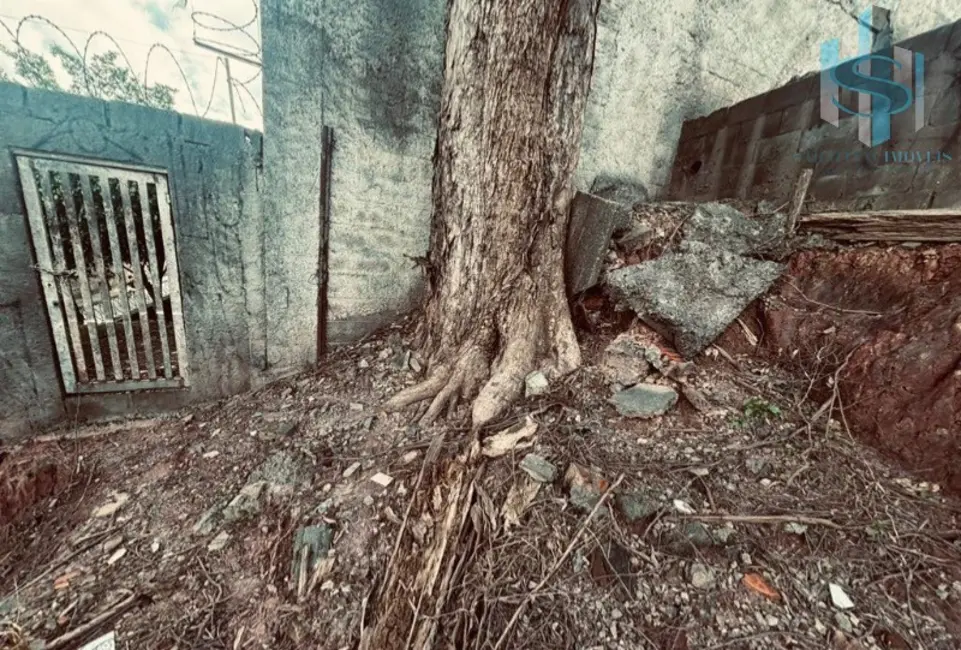 Foto 4 de Terreno / Lote à venda, 250m2 em Vila Albano, São Paulo - SP