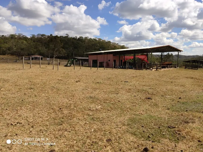 Fazenda / Haras à venda, 16777215m2 em Ipameri - GO - imagem 6 Foto 6 de Fazenda / Haras à venda, 16777215m2 em Ipameri - GO