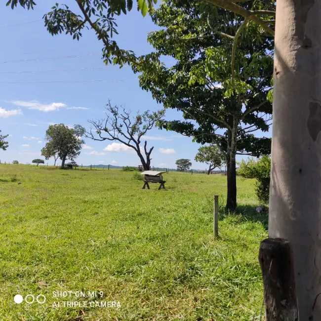 Fazenda / Haras à venda, 16777215m2 em Ipameri - GO - imagem 5 Foto 5 de Fazenda / Haras à venda, 16777215m2 em Ipameri - GO