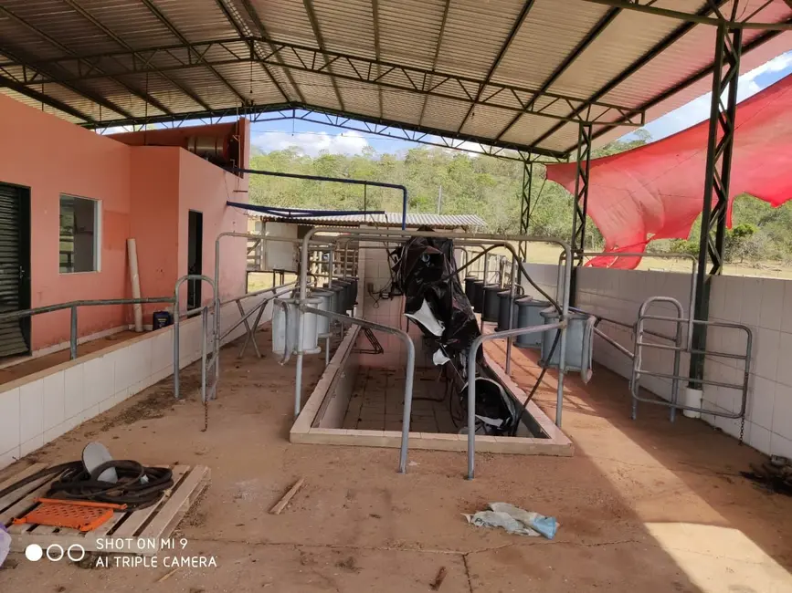 Fazenda / Haras à venda, 16777215m2 em Ipameri - GO - imagem 9 Foto 9 de Fazenda / Haras à venda, 16777215m2 em Ipameri - GO