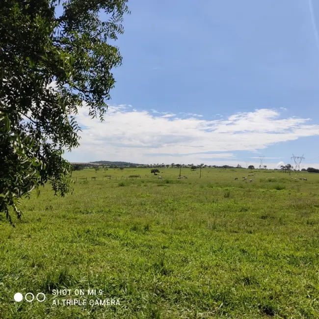 Fazenda / Haras à venda, 16777215m2 em Ipameri - GO - imagem 4 Foto 4 de Fazenda / Haras à venda, 16777215m2 em Ipameri - GO