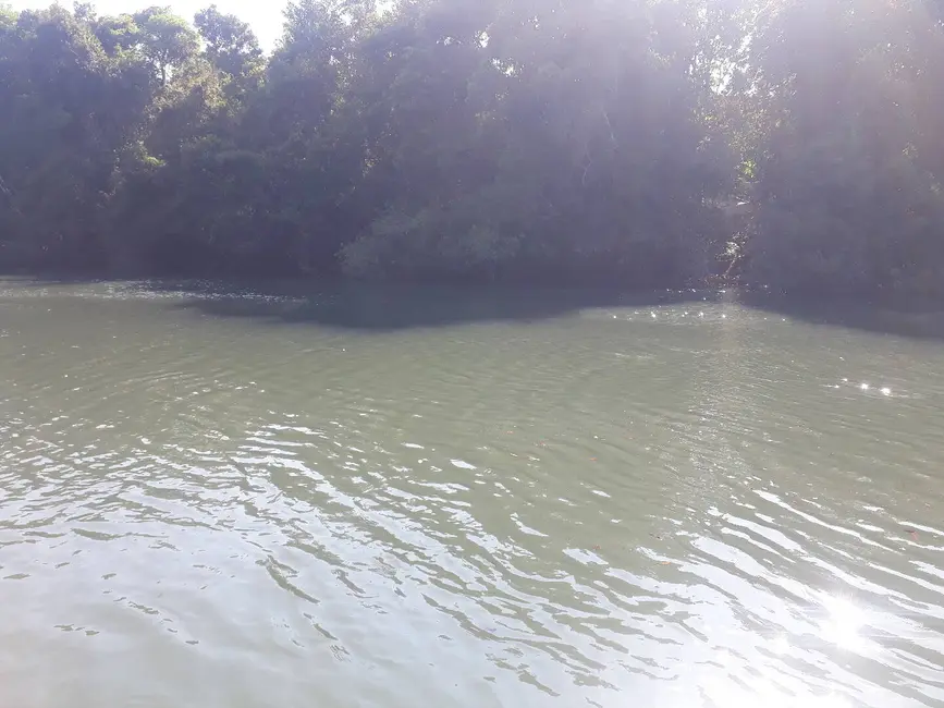 Chácara à venda e para alugar, 20170m2 em Lucas Do Rio Verde - MT - imagem 4 Foto 4 de Chácara à venda e para alugar, 20170m2 em Lucas Do Rio Verde - MT