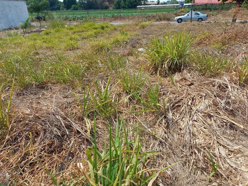 Foto 4 de Terreno / Lote à venda, 254m2 em Sorriso - MT