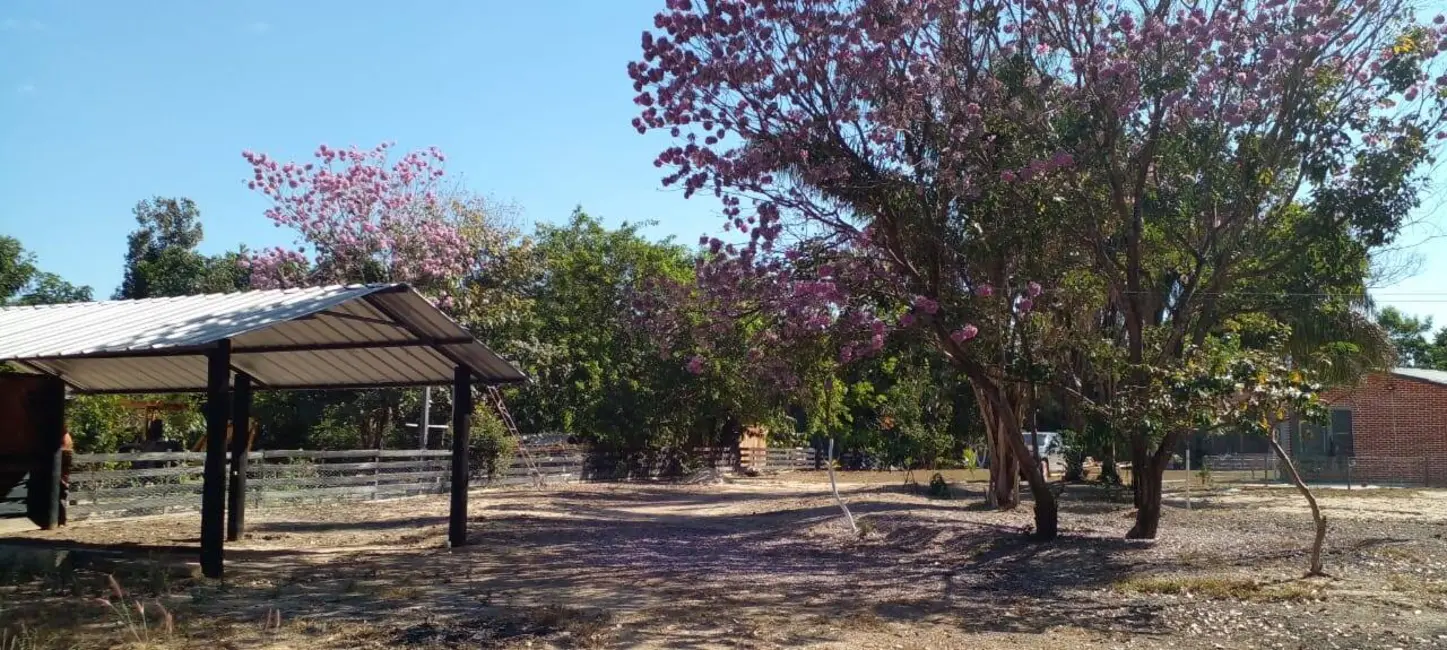Chácara com 2 quartos à venda, 4890m2 em Sorriso - MT - imagem 4 Foto 4 de Chácara com 2 quartos à venda, 4890m2 em Sorriso - MT