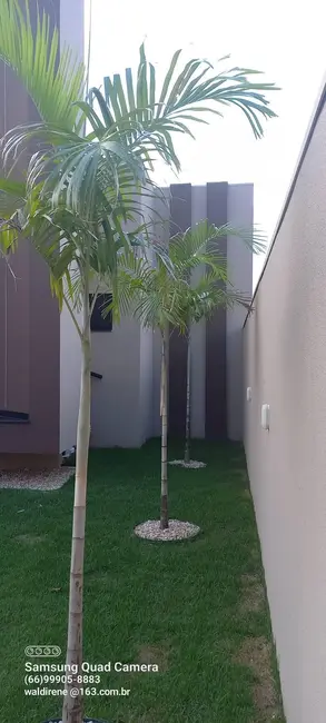 Casa com 3 quartos à venda, 1525m2 em Sorriso - MT - imagem 6 Foto 6 de Casa com 3 quartos à venda, 1525m2 em Sorriso - MT