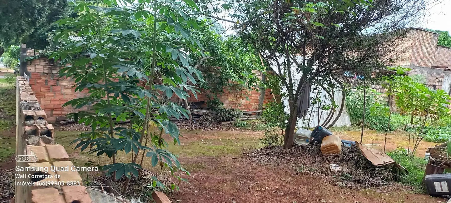 Foto 6 de Terreno / Lote à venda em Sorriso - MT