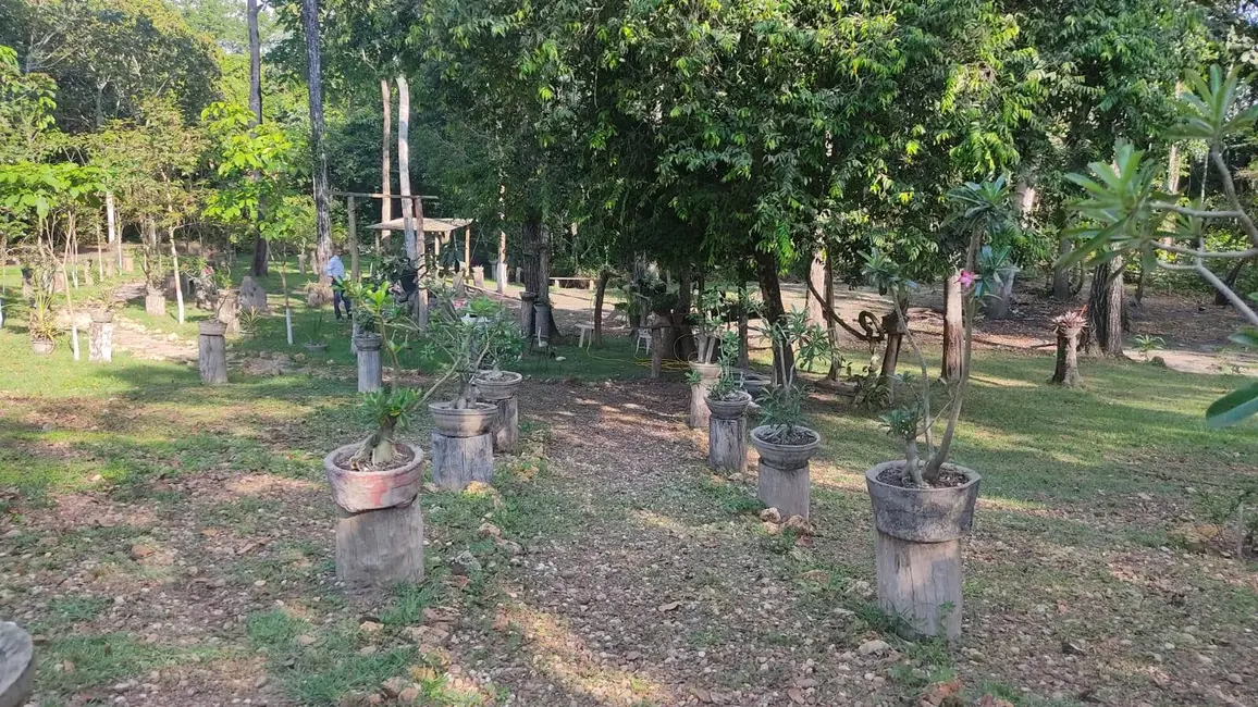 Chácara com 2 quartos à venda em Sorriso - MT - imagem 4 Foto 4 de Chácara com 2 quartos à venda em Sorriso - MT