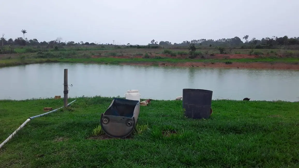 Chácara com 3 quartos à venda em Sorriso - MT - imagem 8 Foto 8 de Chácara com 3 quartos à venda em Sorriso - MT