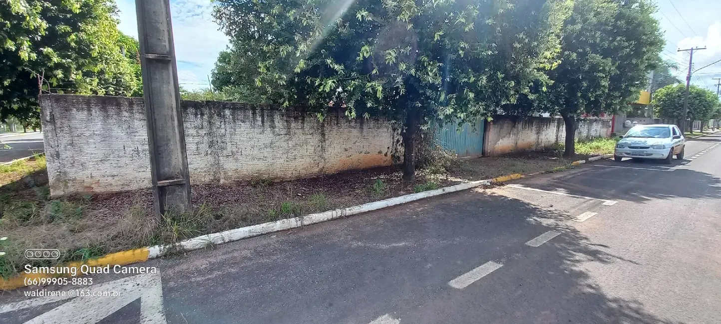 Foto 3 de Terreno / Lote à venda, 450m2 em Sorriso - MT