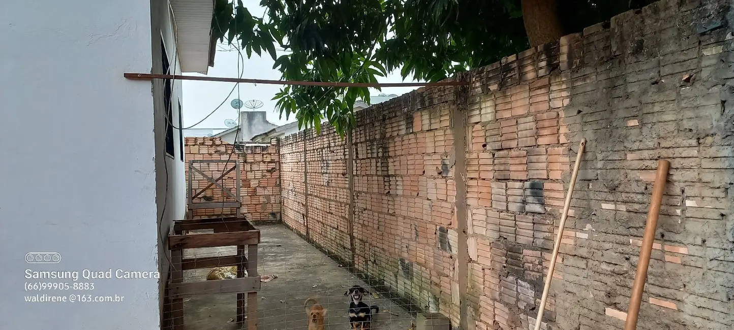 Casa com 2 quartos à venda, 1530m2 em Sorriso - MT - imagem 4 Foto 4 de Casa com 2 quartos à venda, 1530m2 em Sorriso - MT