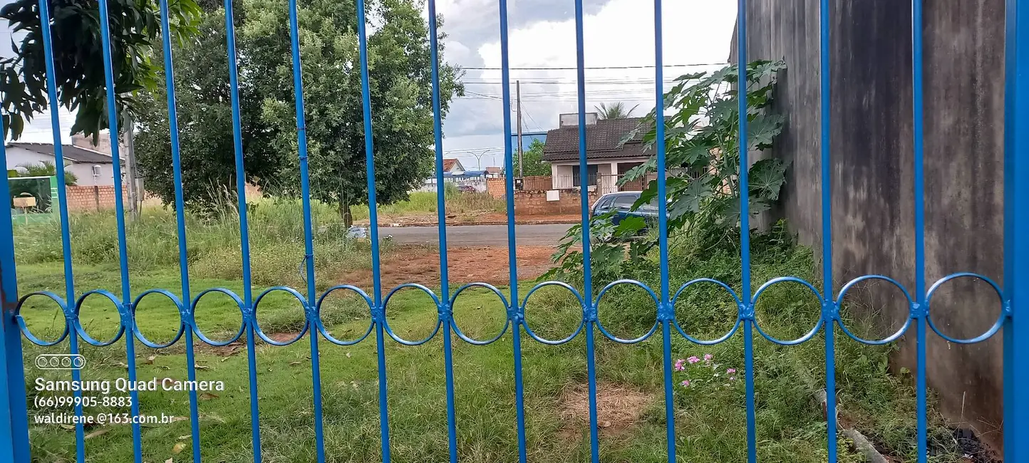 Casa com 2 quartos à venda, 1530m2 em Sorriso - MT - imagem 5 Foto 5 de Casa com 2 quartos à venda, 1530m2 em Sorriso - MT