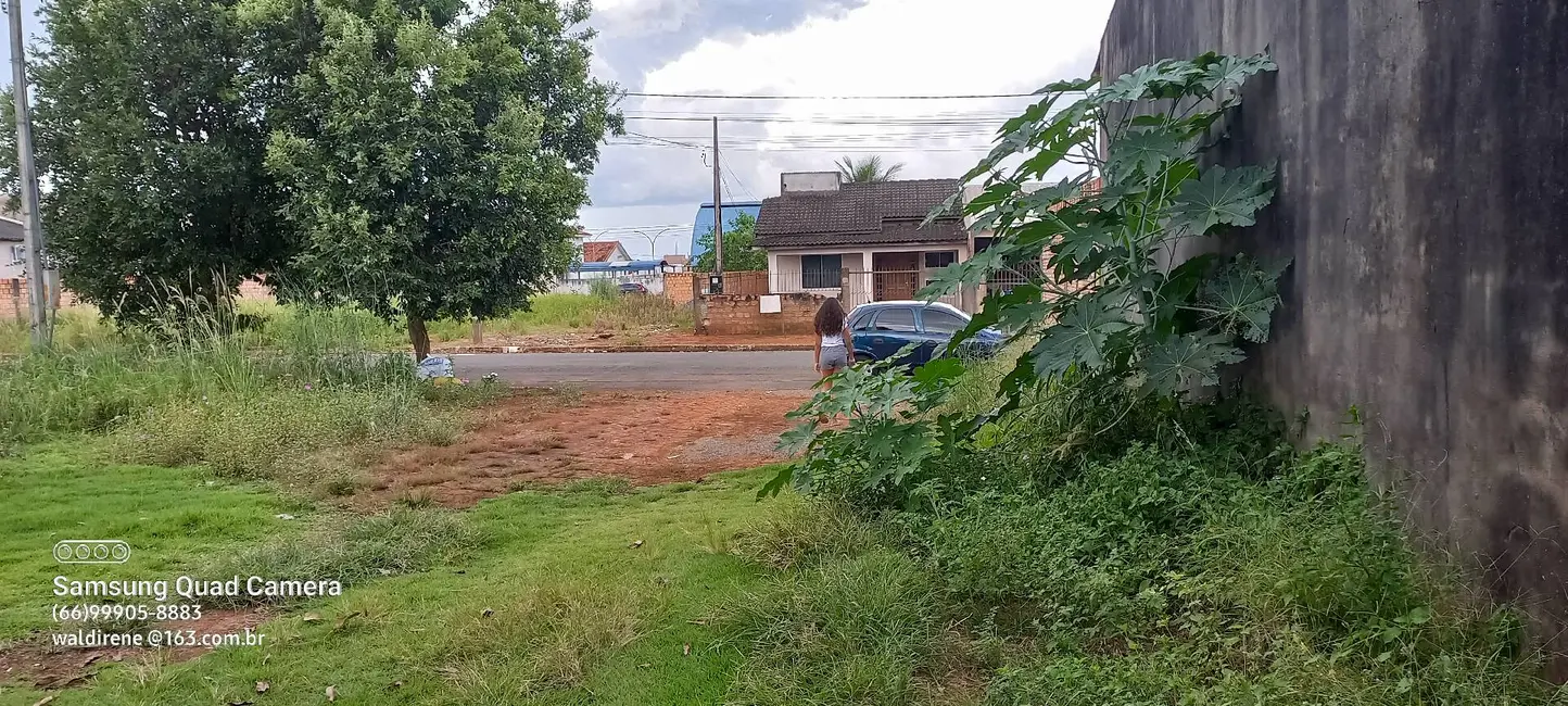 Casa com 2 quartos à venda, 1530m2 em Sorriso - MT - imagem 7 Foto 7 de Casa com 2 quartos à venda, 1530m2 em Sorriso - MT