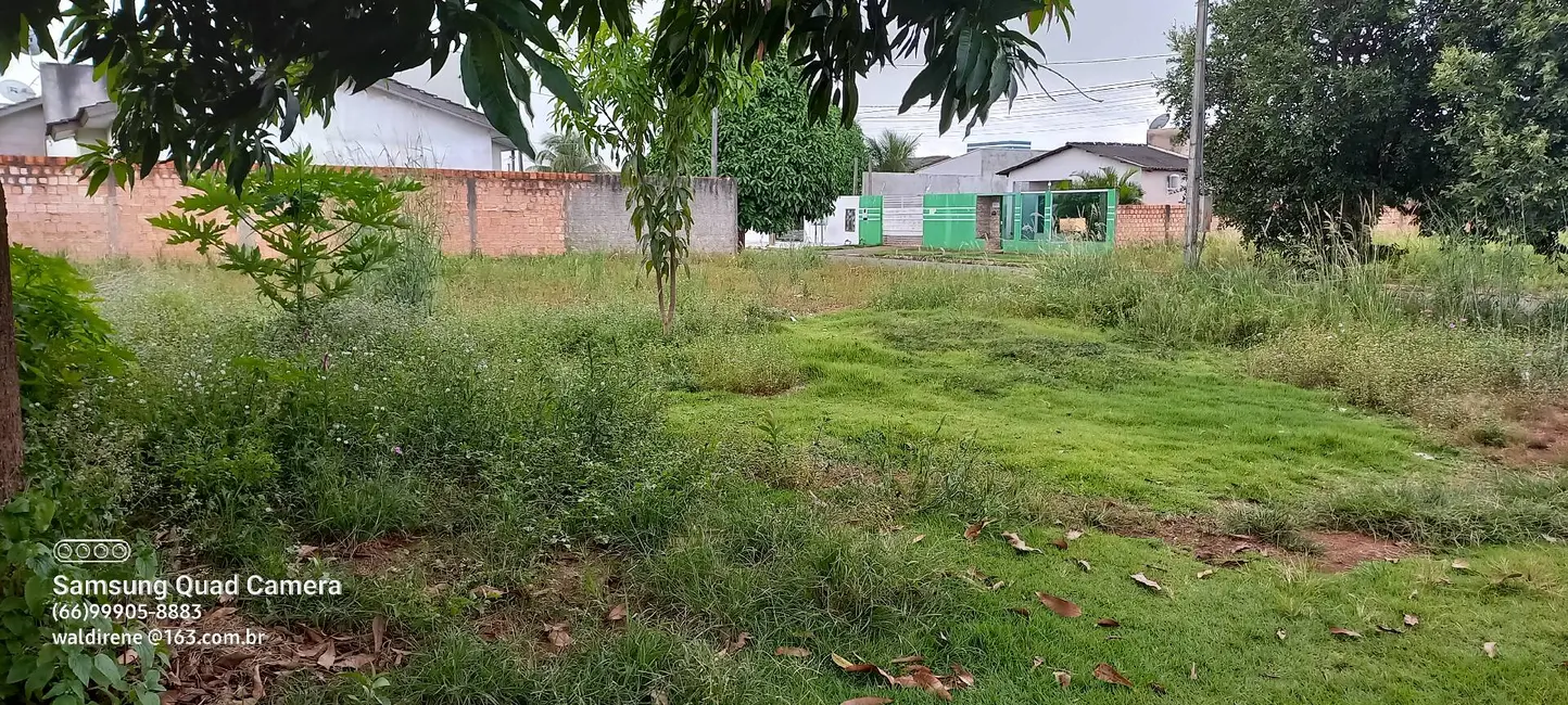 Casa com 2 quartos à venda, 1530m2 em Sorriso - MT - imagem 6 Foto 6 de Casa com 2 quartos à venda, 1530m2 em Sorriso - MT