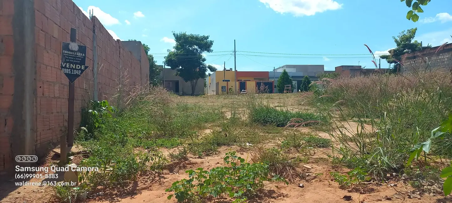 Foto 4 de Terreno / Lote à venda, 1021m2 em Sorriso - MT